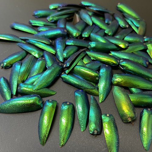 200 drilled green blue jewel - 200,