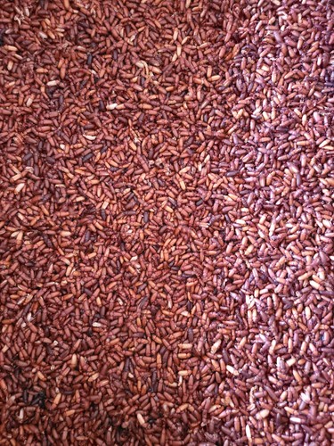 Predator foods bulk live - predator,