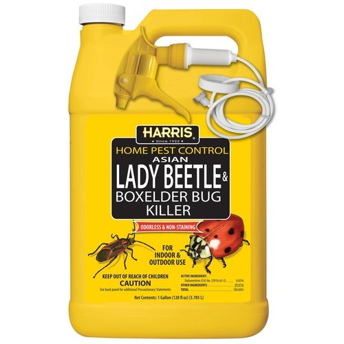 Harris home pest - harris,